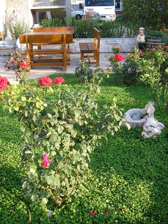 Viola Guesthouset